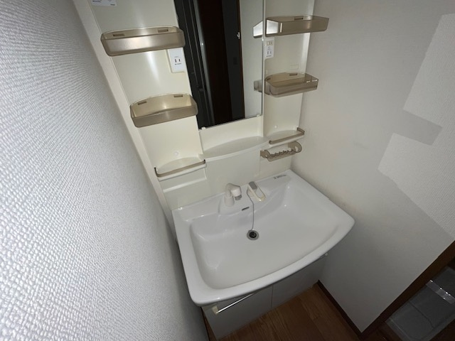 メゾントパーズの洗面所