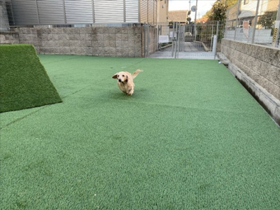 【その他】 | ミル・クレール アネックス　A棟