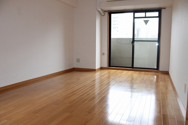 プレサンス中之島公園南の居間・リビング