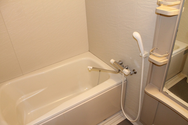 プレサンス中之島公園南の浴室