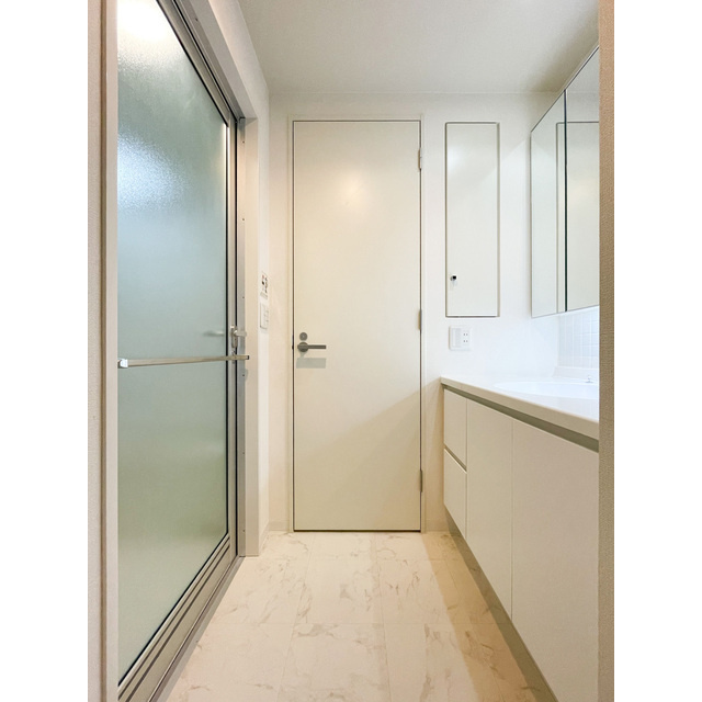 LaSante千駄木の洗面所