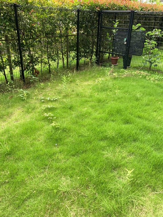 シティテラス草加松原ガーデンズの庭