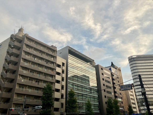 芝マンションの展望