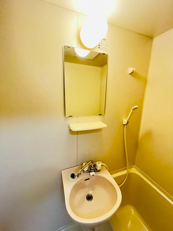 ライフかすがのの洗面所