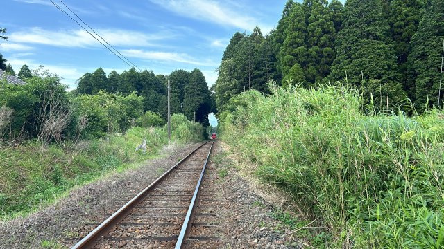 心が深呼吸する緑の暮らし　熊本県阿蘇市永草のその他|【目玉】JR豊肥線の線路と隣接！電車好きにはたまりません♪車掌さんに手を振れば汽笛を返してくれること