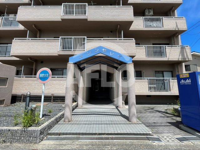 メゾンセレナのエントランス|メゾンセレナ　エントランス