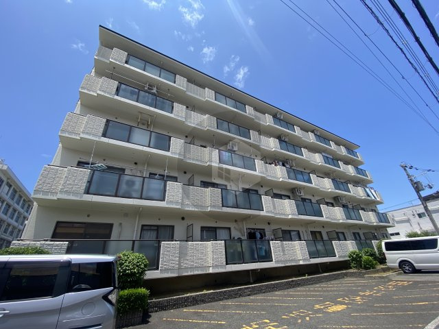 エバーグレイス森本