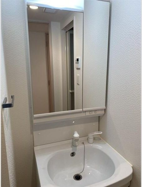 S-RESIDENCE新大阪Ridenteの洗面所