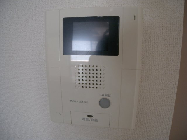 ヴァーンフリートのセキュリティ