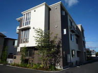 ベレオ マーサ アイの画像