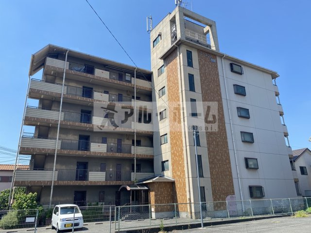 ユーネスト浅野