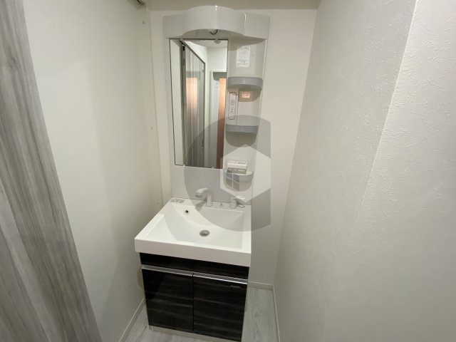 リアライズ布施駅前の独立洗面台