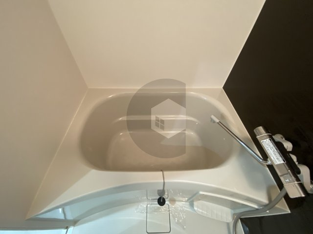 リアライズ布施駅前の浴室