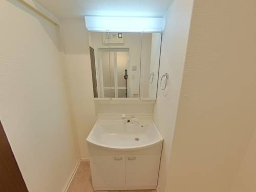 熊本市中央区坪井３丁目の賃貸マンションの独立洗面台