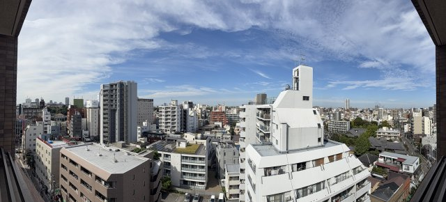 ナビウス根岸参丁目11階の展望