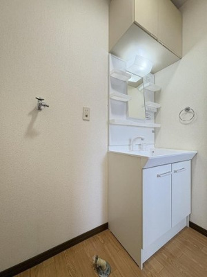 【洗面所】 | タウンハウス東1号棟