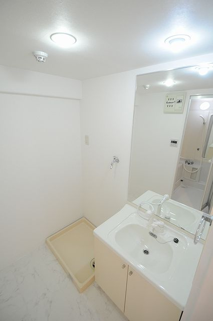 大阪市城東区成育２丁目の賃貸マンションの洗面所