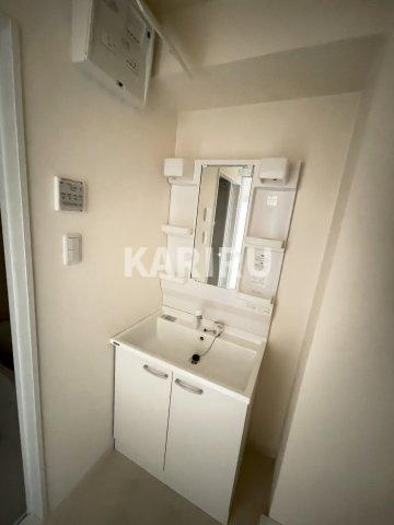 レクラン今里 の独立洗面台