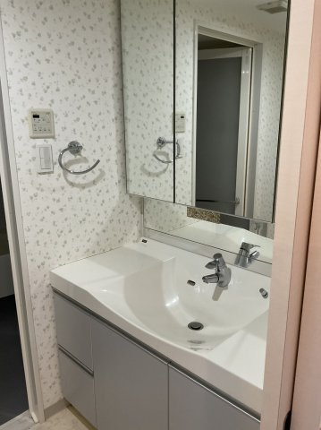 エスリード伏見桃山壱番館の洗面所