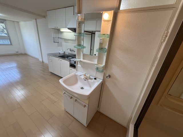 桃山台コーポラスの独立洗面台