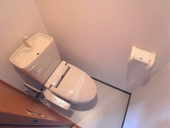 ドメスティック南光荘のトイレ