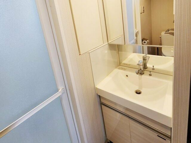 ＡＬＴＥＲＮＡ銀座の独立洗面台