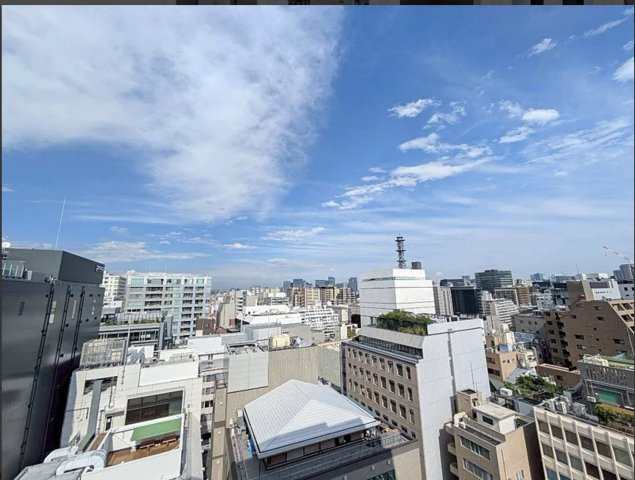 ★仲介手数料無料★BRANZ 六番町(東急不動産最高ブランド・免震構造）の展望