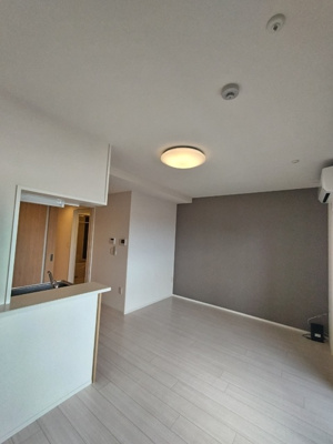 リビング※照明は設備ではございません