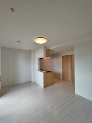 リビング※照明は設備ではございません