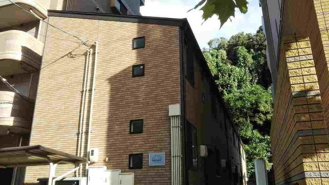 レオネクストマールフ