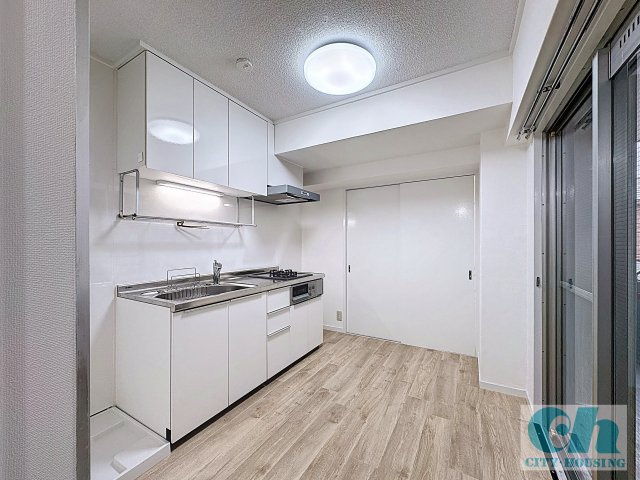 育進ビル 302号室のキッチン