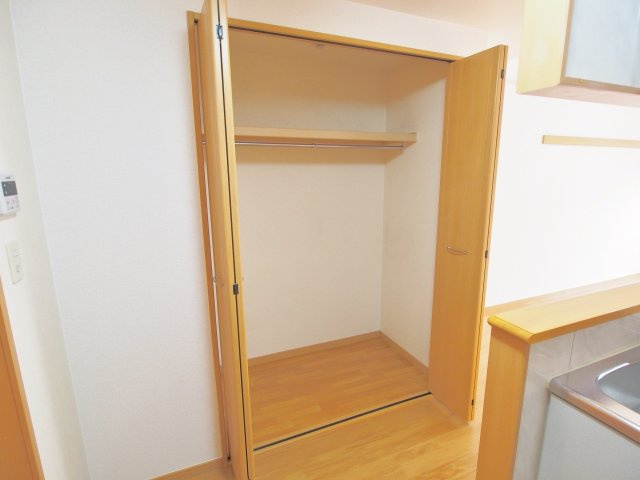 プラシードレジデンスの収納