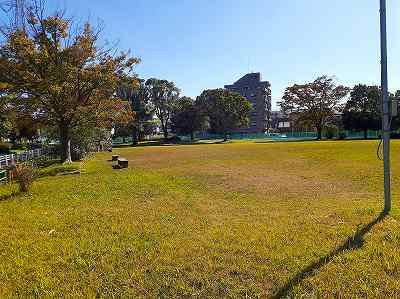 エスティーヌフジＣの周辺|公園まで300m