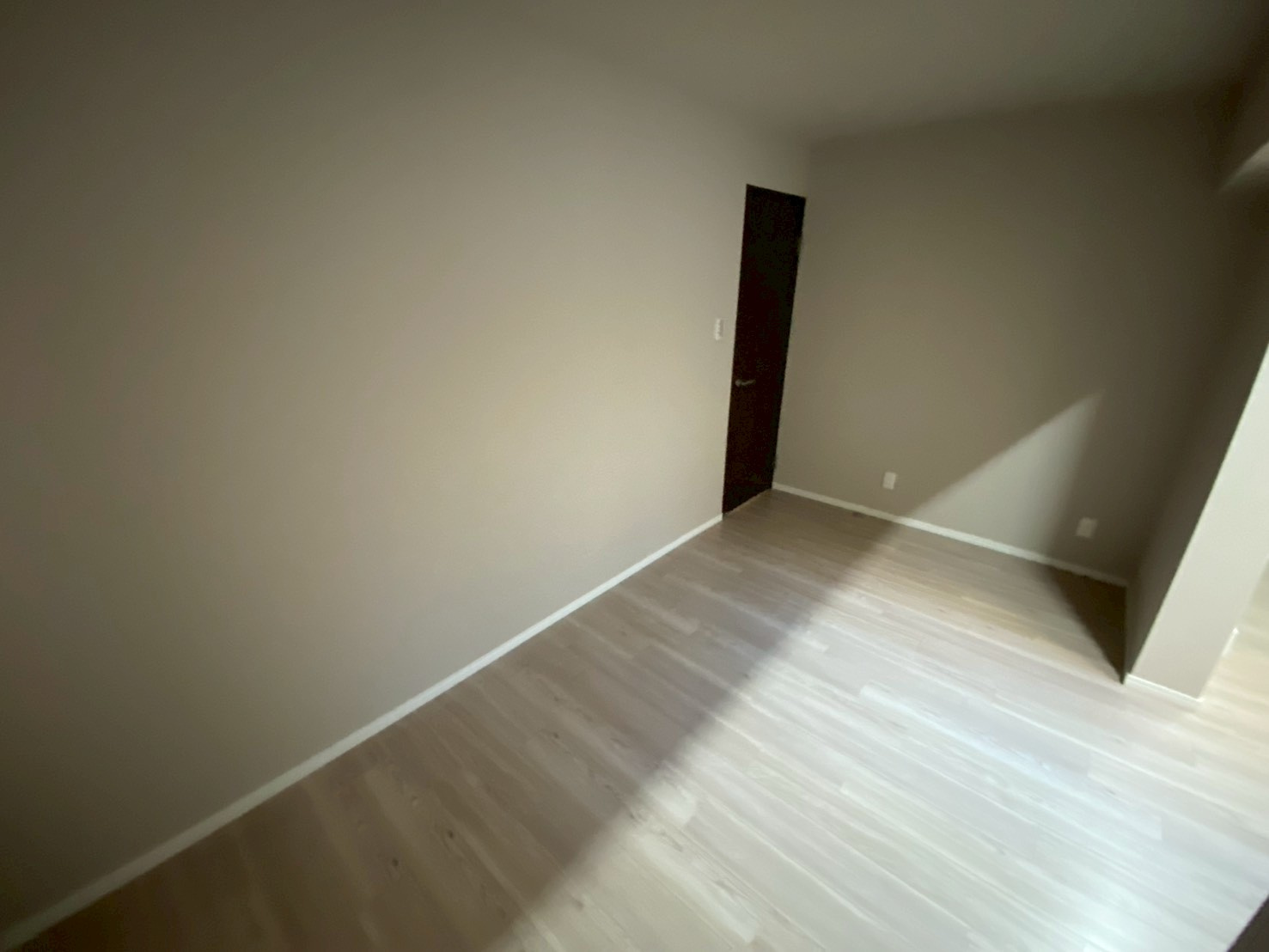 パレグレイス・ヒエダのその他