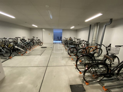 【その他共用部分】 | フォーリアライズ本町レクス | フォーリアライズ本町レクス　駐輪場