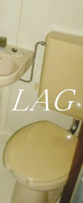 【トイレ】 | 矢口第１ハイツ | トイレ（同仕様）です。