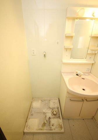 セレーサの洗面所