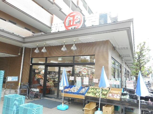 フィオーレの周辺