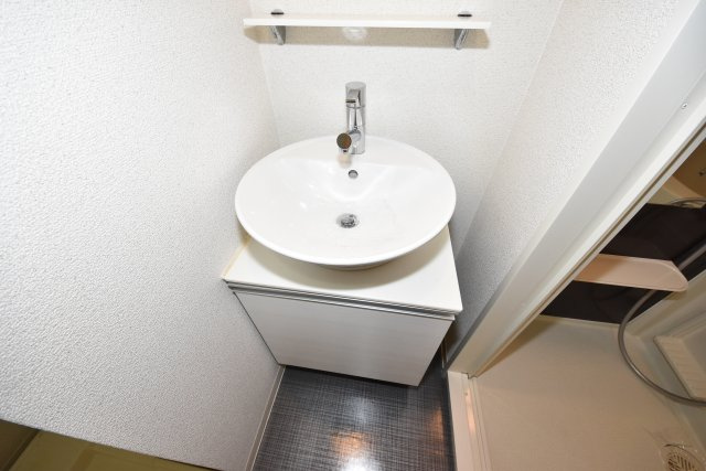 エスリード阿波座サウスプレイスの洗面所