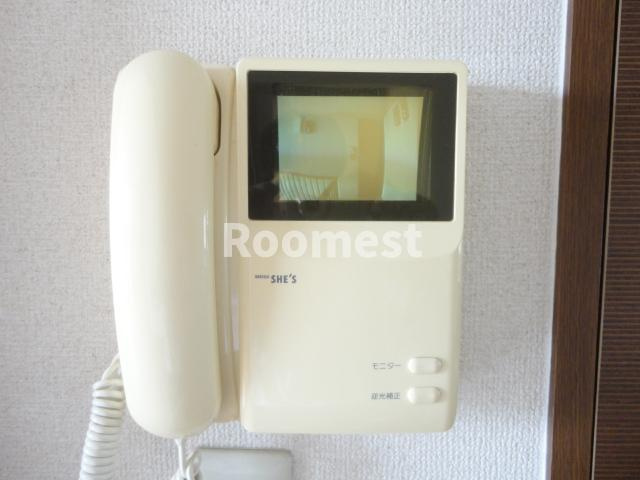 バリュージュヴィオラのセキュリティ