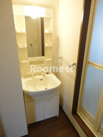 バリュージュヴィオラの洗面所|広い洗面スペース