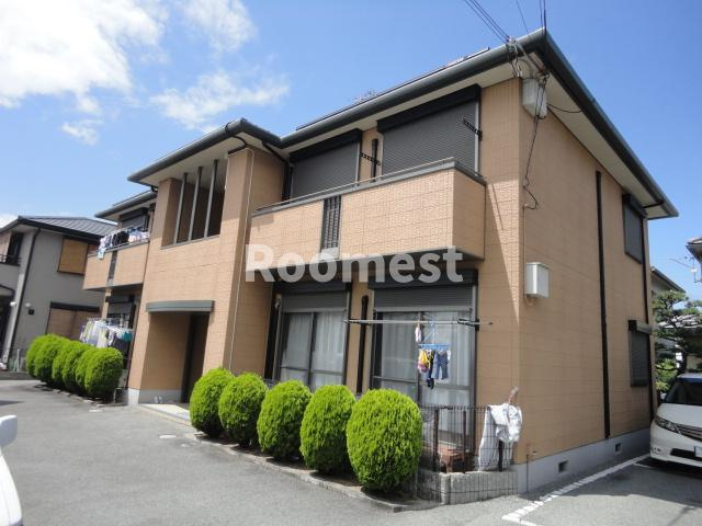 バリュージュヴィオラ