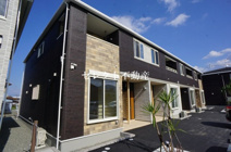 ハクナ・マタタＢの画像