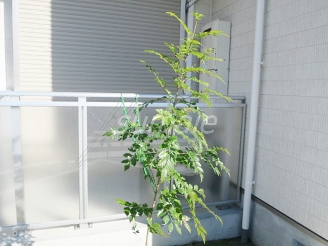 Glanz赤羽WESTのその他|かわいい緑もあります☆