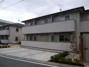 フィオーレアの画像