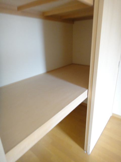 川崎市多摩区宿河原６丁目の賃貸マンションの収納