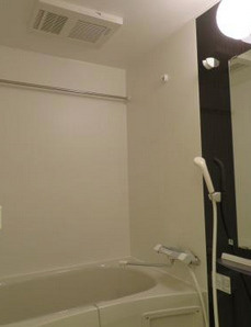 セレニテ堺筋本町リアンの浴室