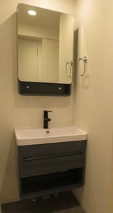 セレニテ堺筋本町リアンの洗面所