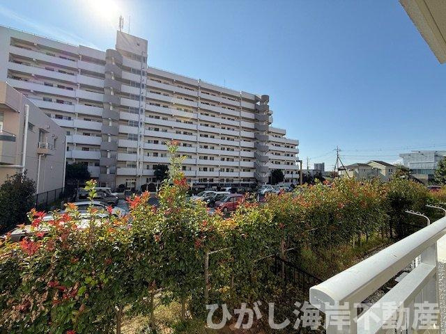 ライトタウン茅ケ崎4の庭|南側　専用庭