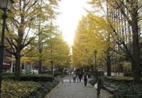 【周辺】 | カスタリア水天宮